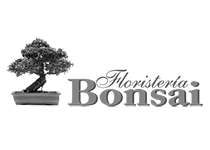 Floristería Bonsai